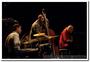 141017-emler-tchamitchian-echampard-trio-doua-de-jazz-ds-1307