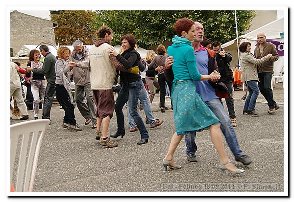 110918-bal-adroite-agauche-felines-ps-3290