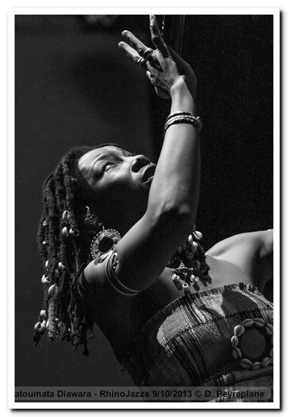 131009-fatoumata-diawara-firminy-rhinojazz-dp-2074