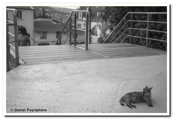140705-clin-oeil-dp-chat-