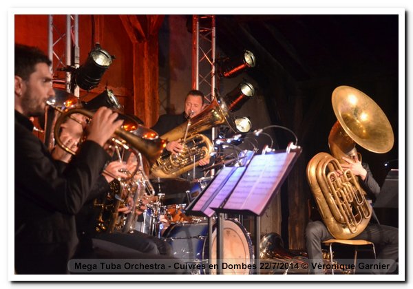 140722-mega-tuba-orchestra-cuivres-en-dombes-vg-0594