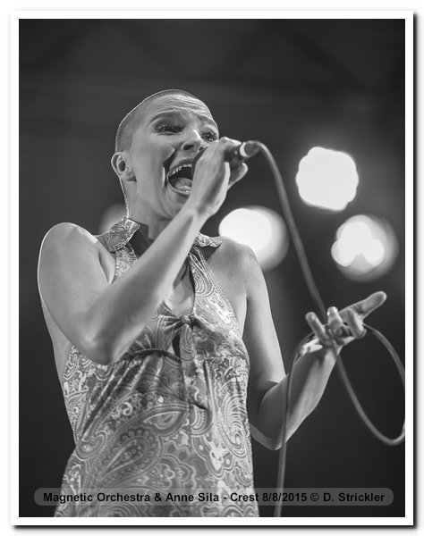 150808-06-magnetic-orchestra-anne-sila-crest-ds-2348