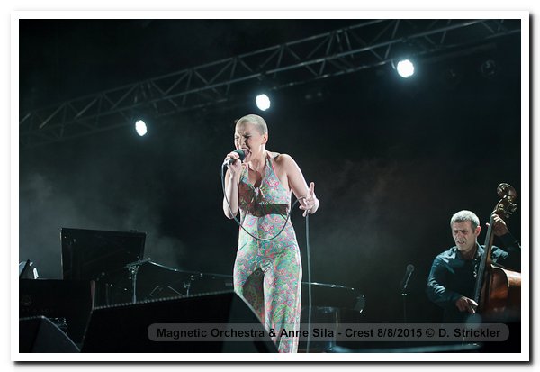 150808-06-magnetic-orchestra-anne-sila-crest-ds-2462
