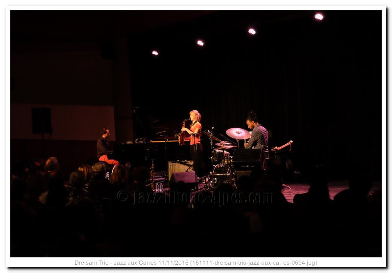 161111-dreisam-trio-jazz-aux-carres-0694