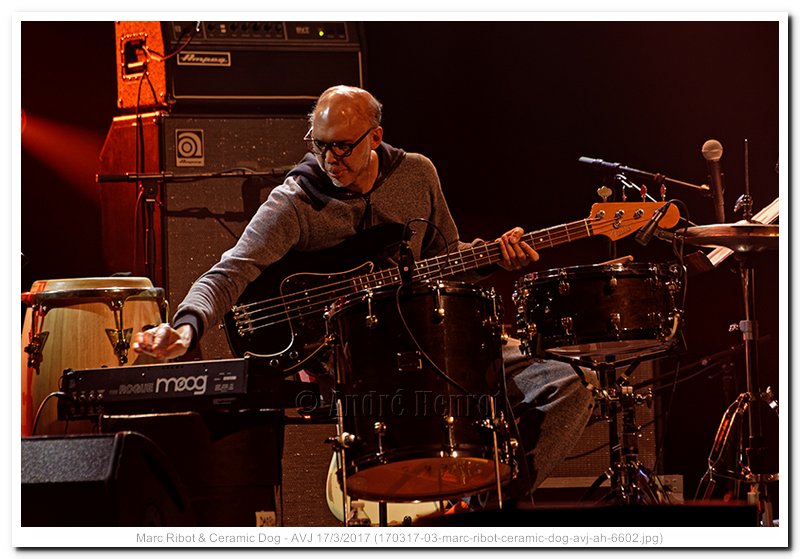 170317-03-marc-ribot-ceramic-dog-avj-ah-6602