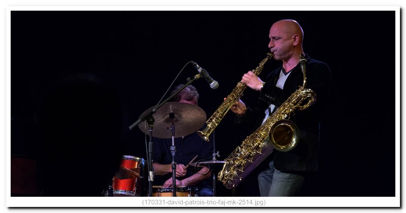 170331-david-patrois-trio-faj-mk-2514