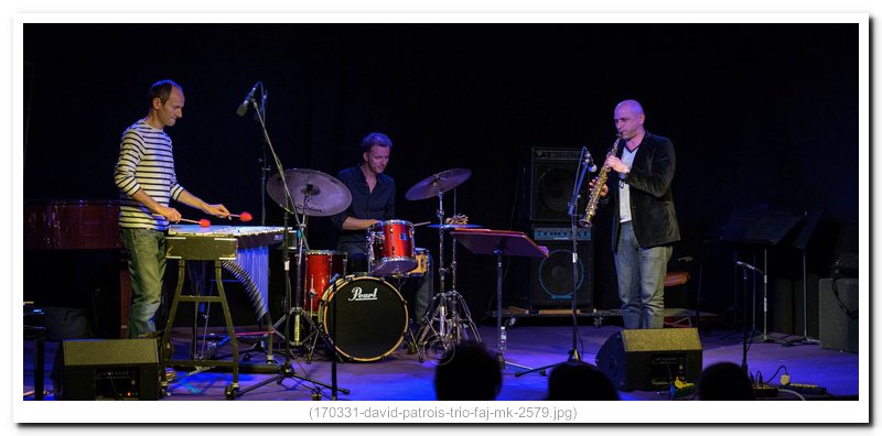 170331-david-patrois-trio-faj-mk-2579