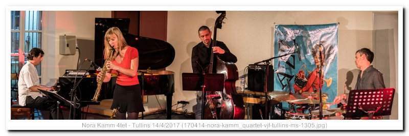 170414-nora-kamm_quartet-vjf-tullins-ms-1305