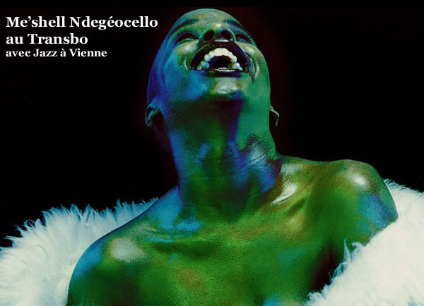 meshell-ndegeocello-600x434