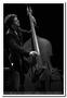 091113-y-herman-trio-villefranche-1020