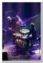 100611-frank-woeste-trio-fej-cc-10