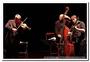 110322-f-niculescu-trio-montbrison-jpb-6866