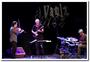 140327-bill-frisell-trio-avj-3404