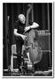 140720-03-lars-danielsson-quartet-poet-laval-dp-6627