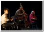 141017-emler-tchamitchian-echampard-trio-doua-de-jazz-ds-1323