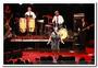 141103-sharon-jones-dap-kings-radiant-fds-0354