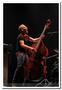 150403-avishai-cohen-trio-voiron-sc-137