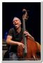 150403-avishai-cohen-trio-voiron-sc-34