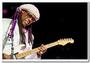 160702-08-chic-feat-nile-rodgers-ta-ds-1052
